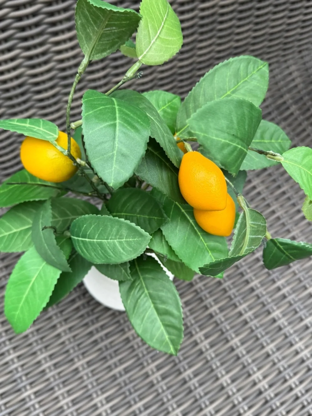 Martha Stewart Artificial Lemon Tree - NWT